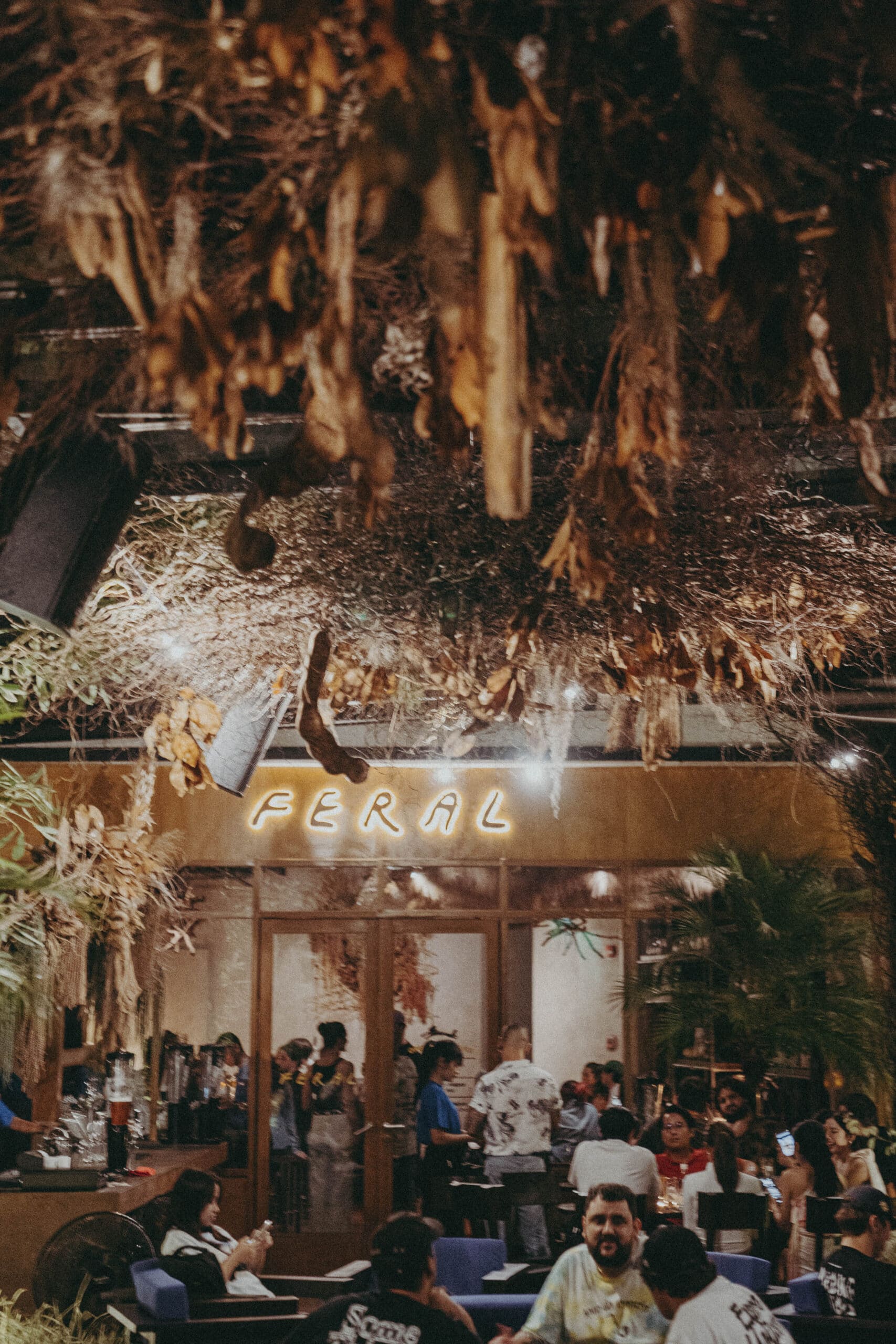 Evening crowd at Feral Wine Bar in 72 Courtyard Thonglor Bangkok, with lush hanging plants, warm lighting, and people enjoying wine and food in an alfresco garden setting.