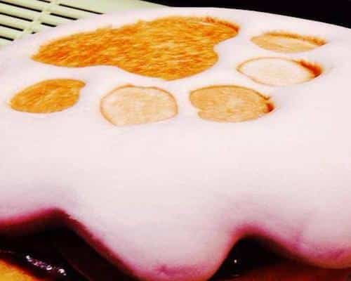 Bear Bites Singapore