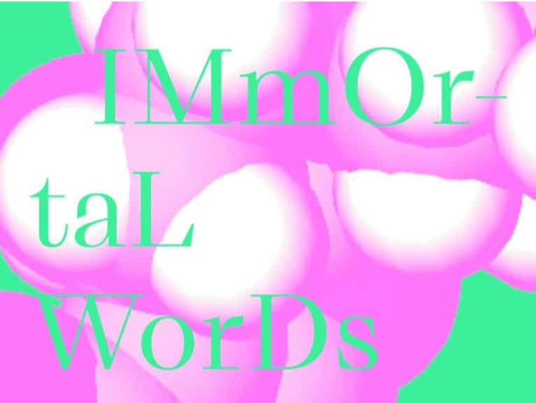 Art SG Immortal Words Boedi Widjaja