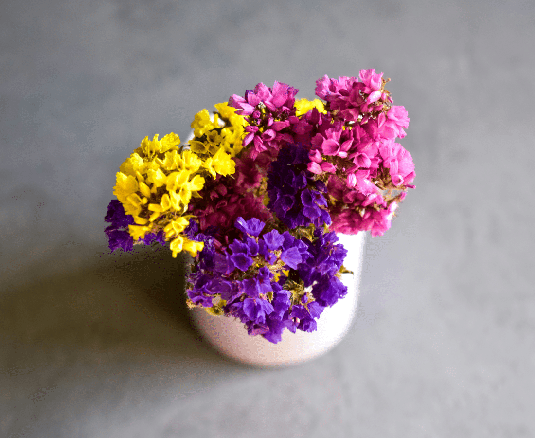 yellow pink and purple flowers