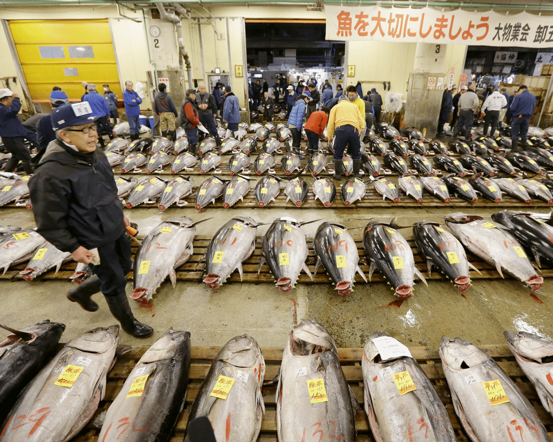 City Nomads’ Documentary Of The Month: ‘Tsukiji Wonderland’