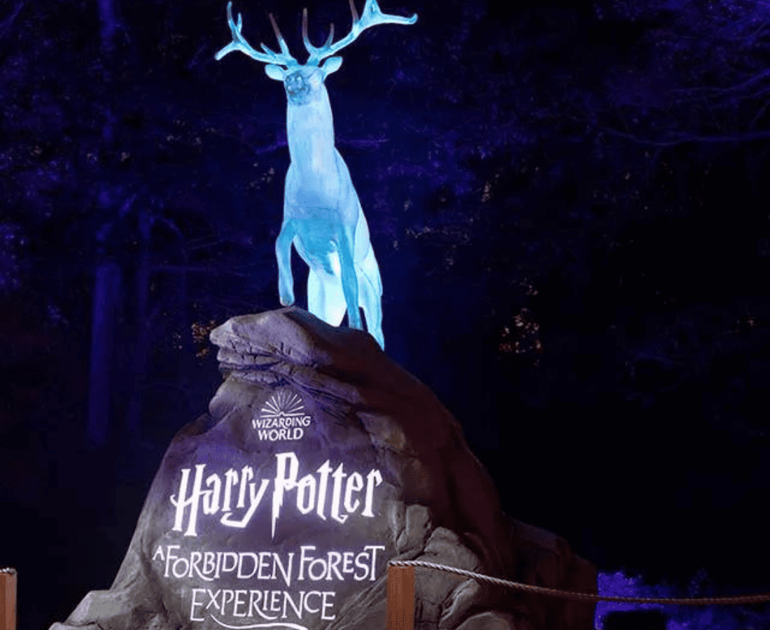 Harry Potter: A Forbidden Forest Experience